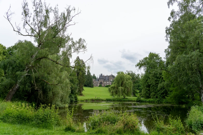 a green and empty lot next to a pond with trees