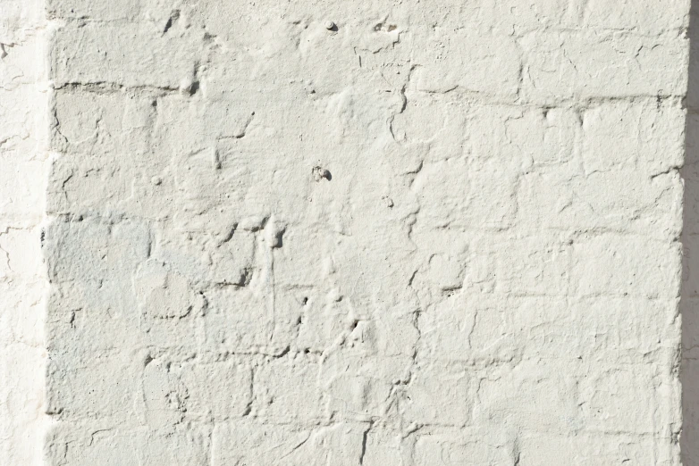 a cat laying in the corner of a white brick wall
