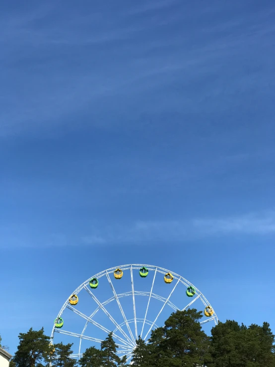 a large ferris wheel sitting above a lush green field