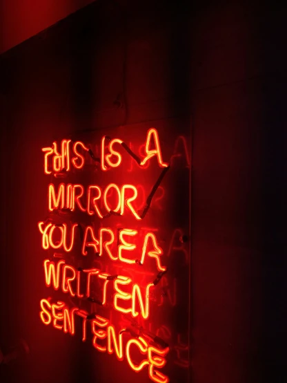 a sign saying it is a mirror you are an art seen sentence