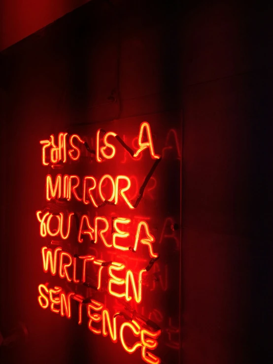 a sign saying it is a mirror you are an art seen sentence