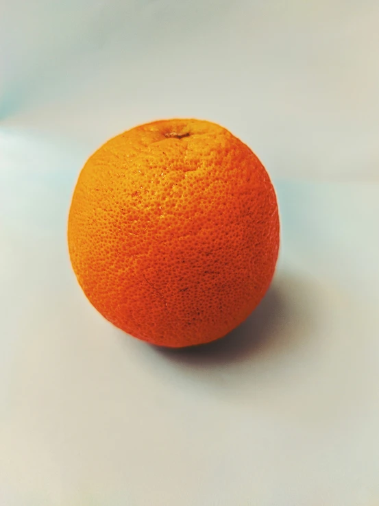 an orange on a white surface with white backdrop
