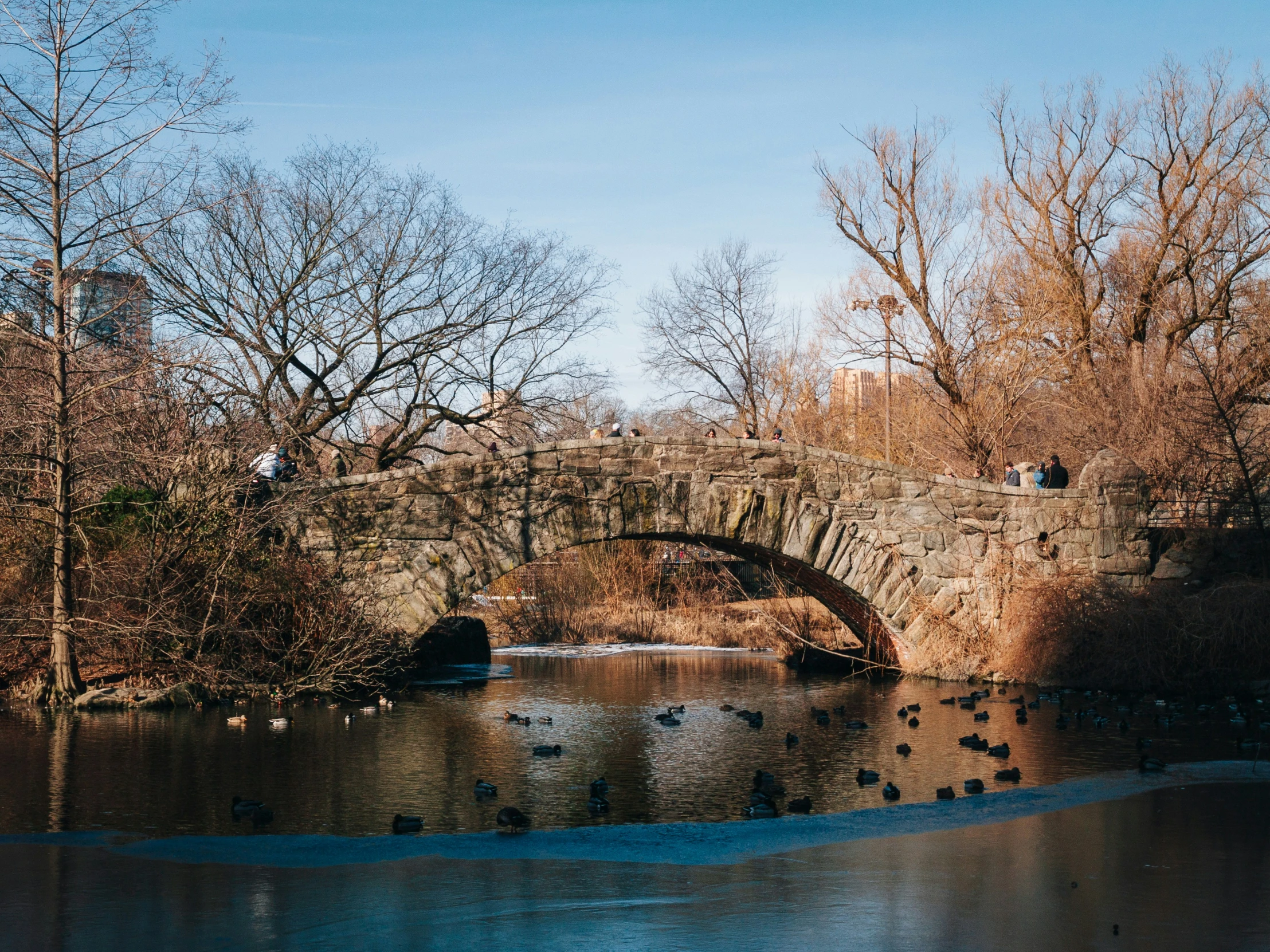 several birds sit in the water under an arched bridge