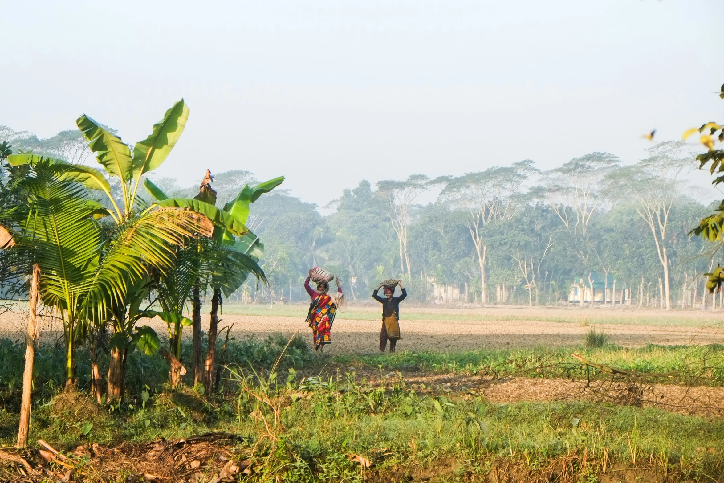 a group of people walking in the dirt next to some palm trees