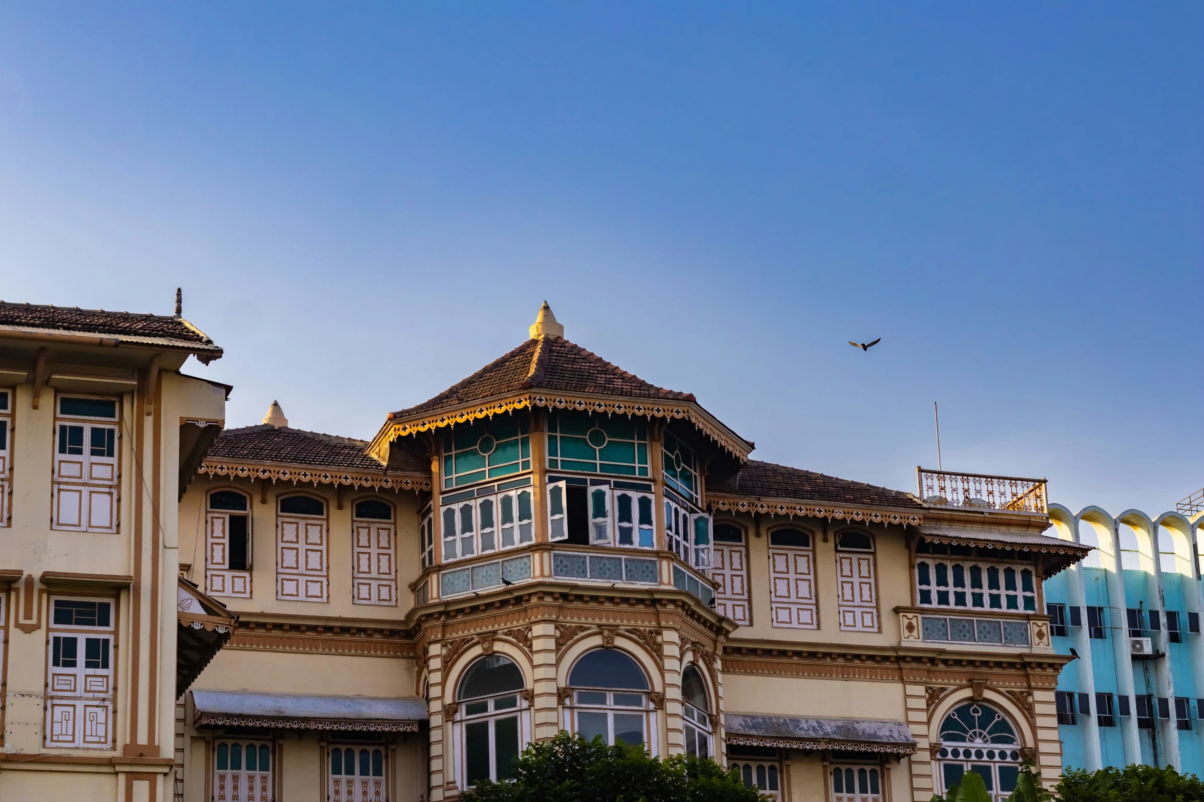 a bird flying by a building with many windows