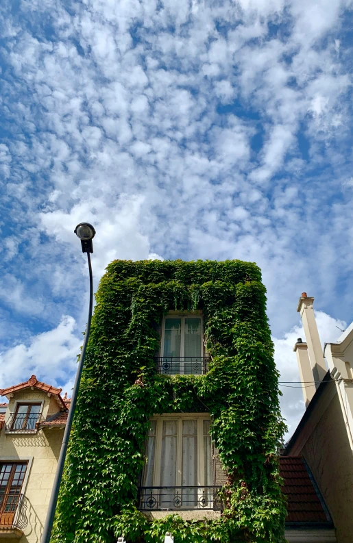 a building covered in vines under a blue sky