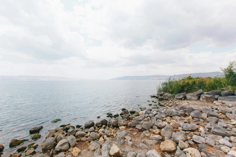 rocks and plants along the side of a body of water