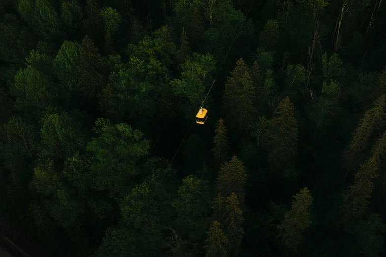 a tent nestled in the forest near a road
