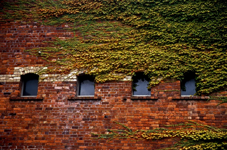 a red brick building has three windows and many vines