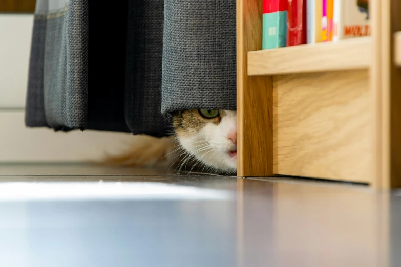 a cat peaking through some grey fabric with its face near the curtains