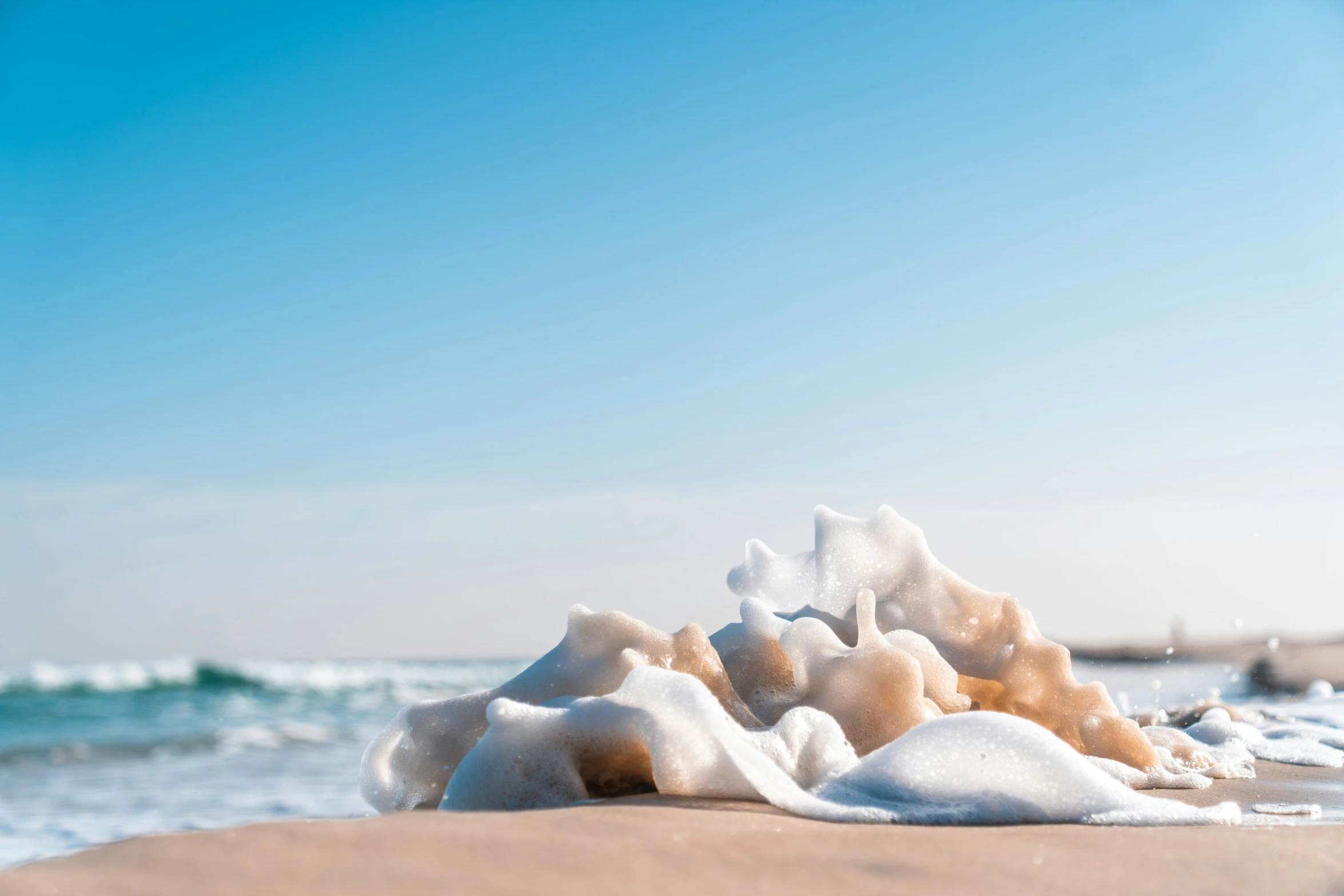 ice on the sand near water and sky