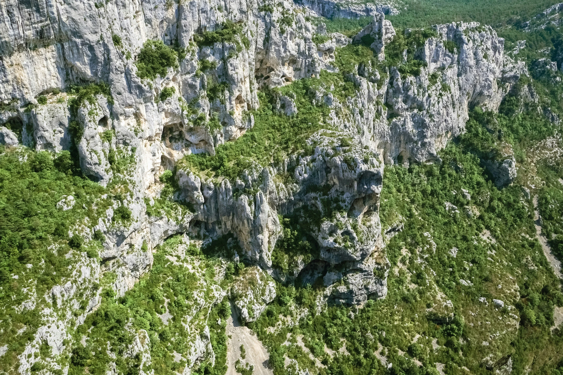 a group of rocks with trees growing between them