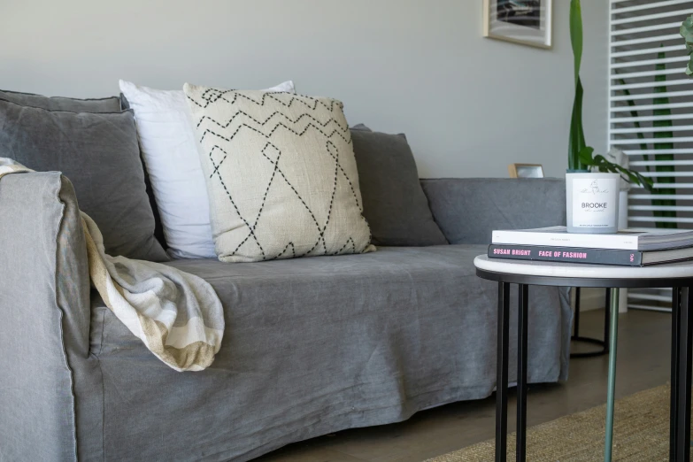 a couch with pillows, and a table with books