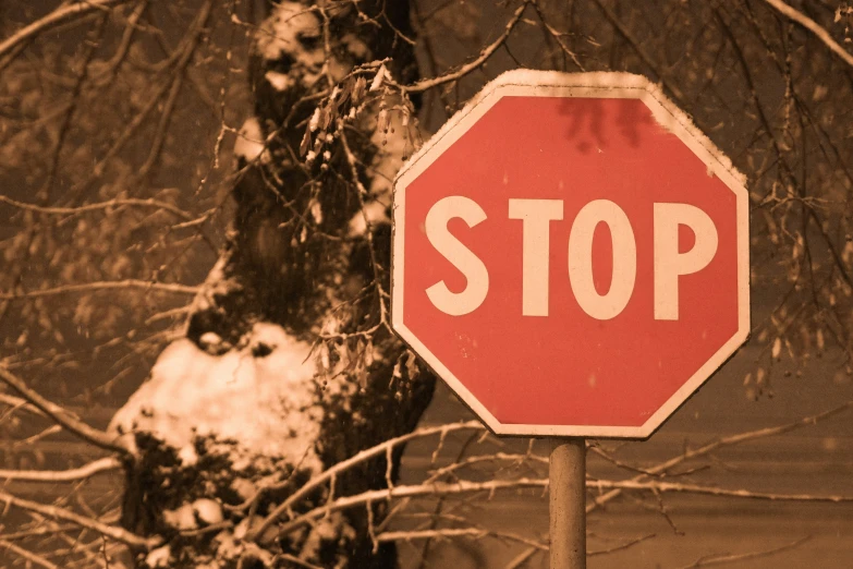 this stop sign is at the edge of the street