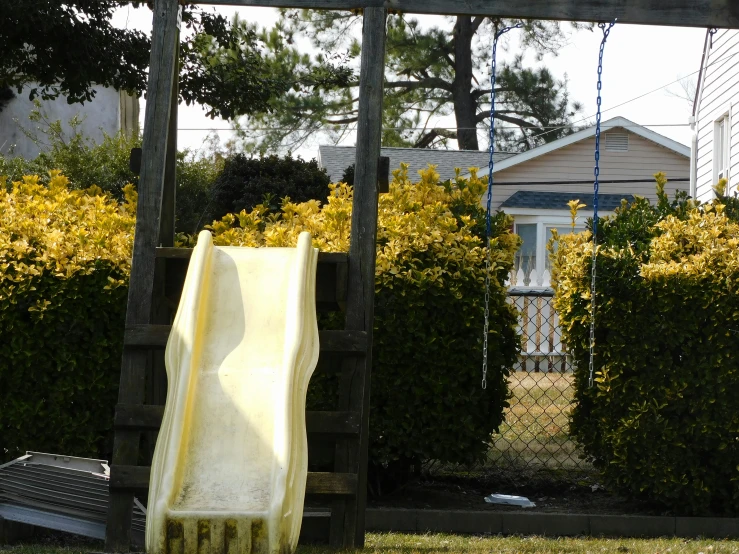 a plastic slide in front of a hedge and yellow flowers