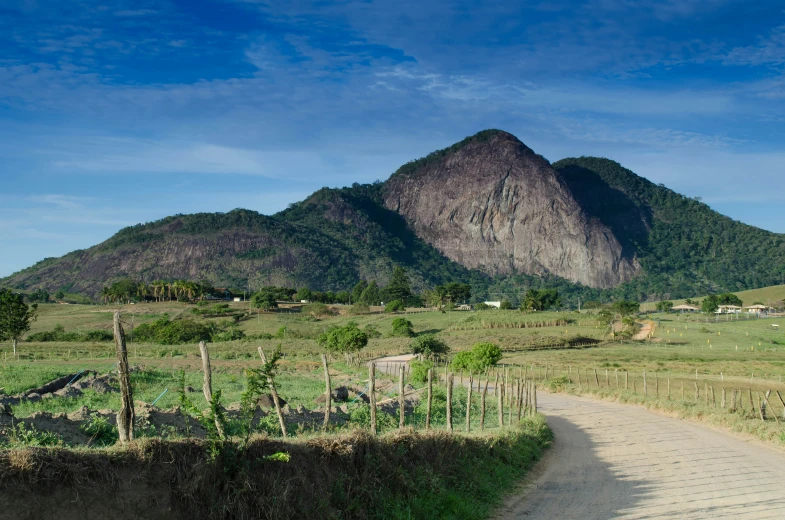 a dirt road passing through a lush green field