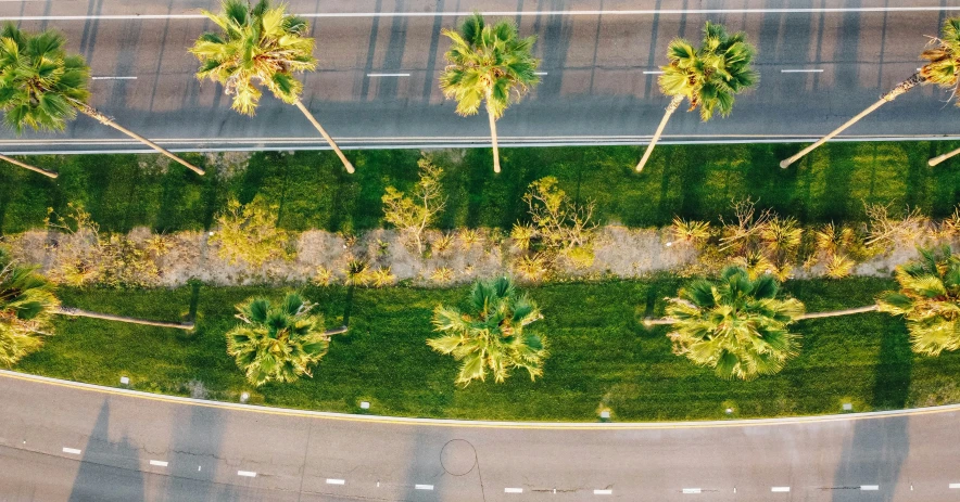 a view of the grass from above of trees and buildings