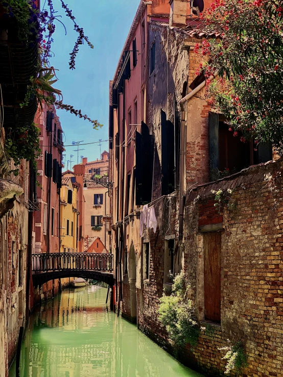 a green canal runs between an old town and a canal