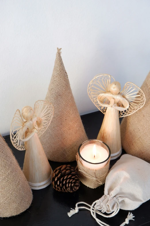 a small collection of pine cones are sitting on the table