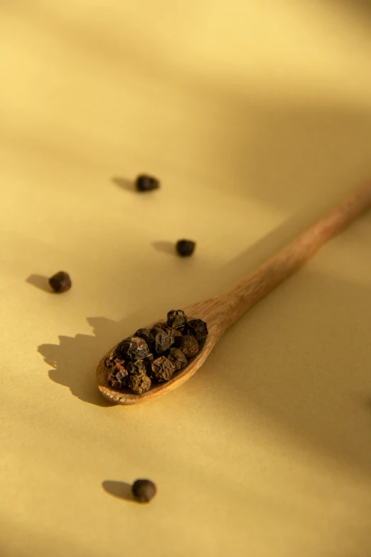 a wooden spoon full of black seeds and on the ground are small brown flakes