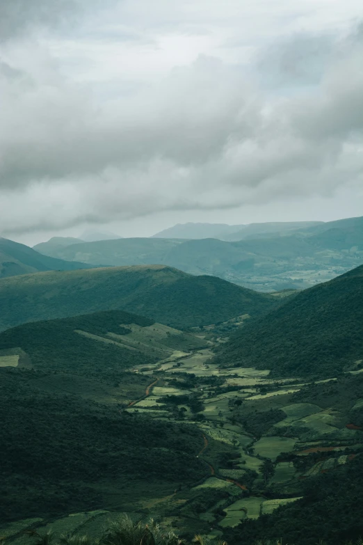 a mountain overlook with lots of trees and bushes