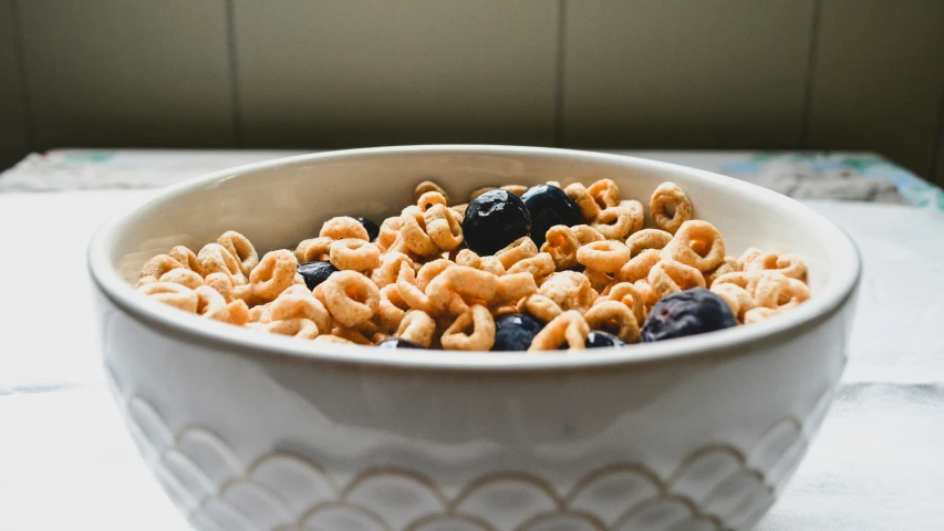 cereal and blackberries in a bowl, in the sunlight