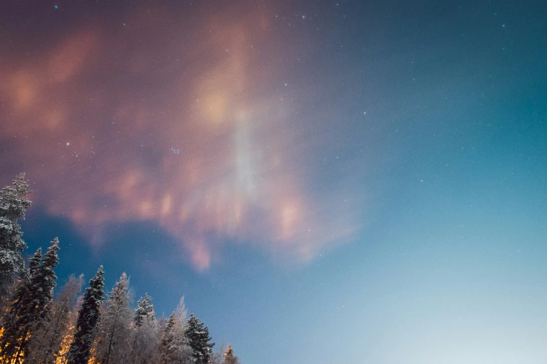 a sky full of stars above the forest