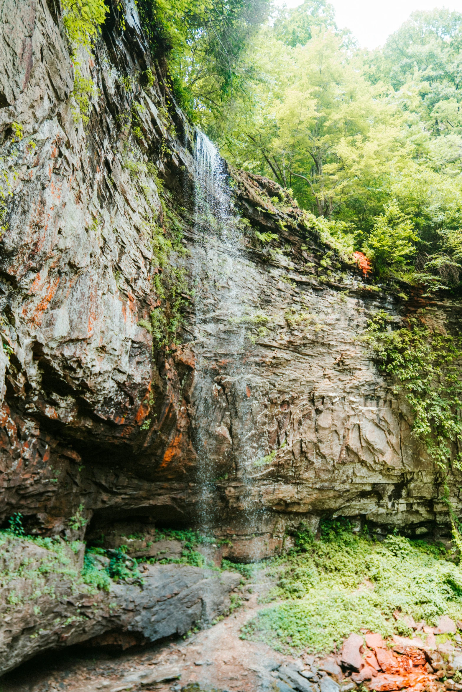 a waterfall falls in the middle of a jungle