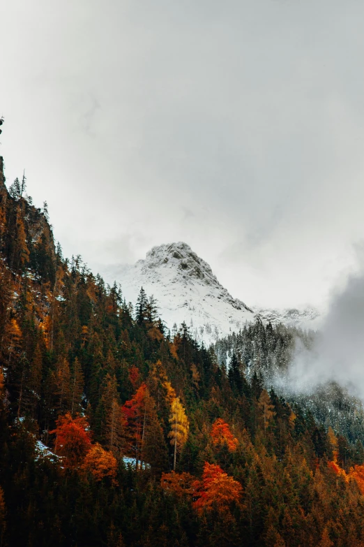 the top of a snowy mountain covered in trees and clouds