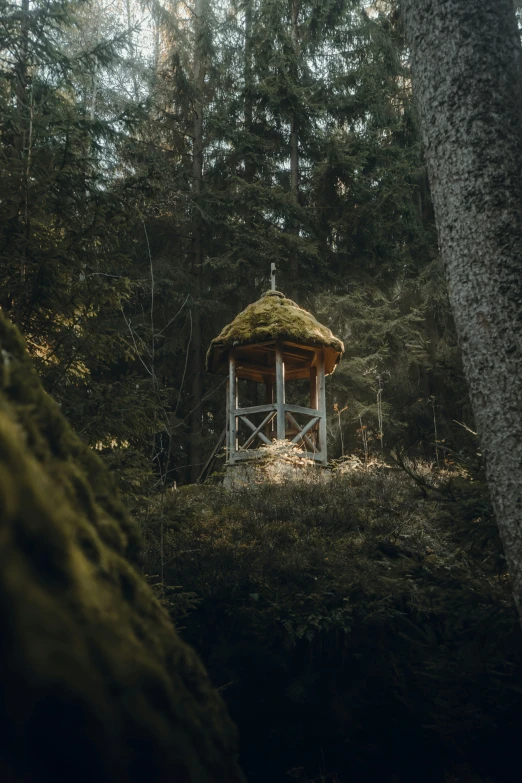 a gazebo is in the middle of a forest