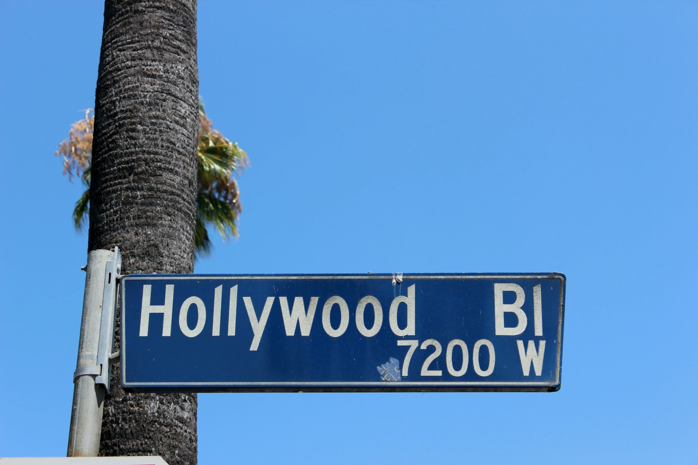 a street sign for hollywood blvd, with a palm tree in the background