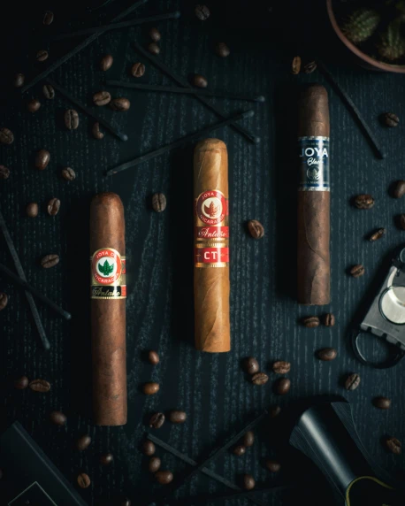 three cigars, two coffee beans, a camera and several glasses