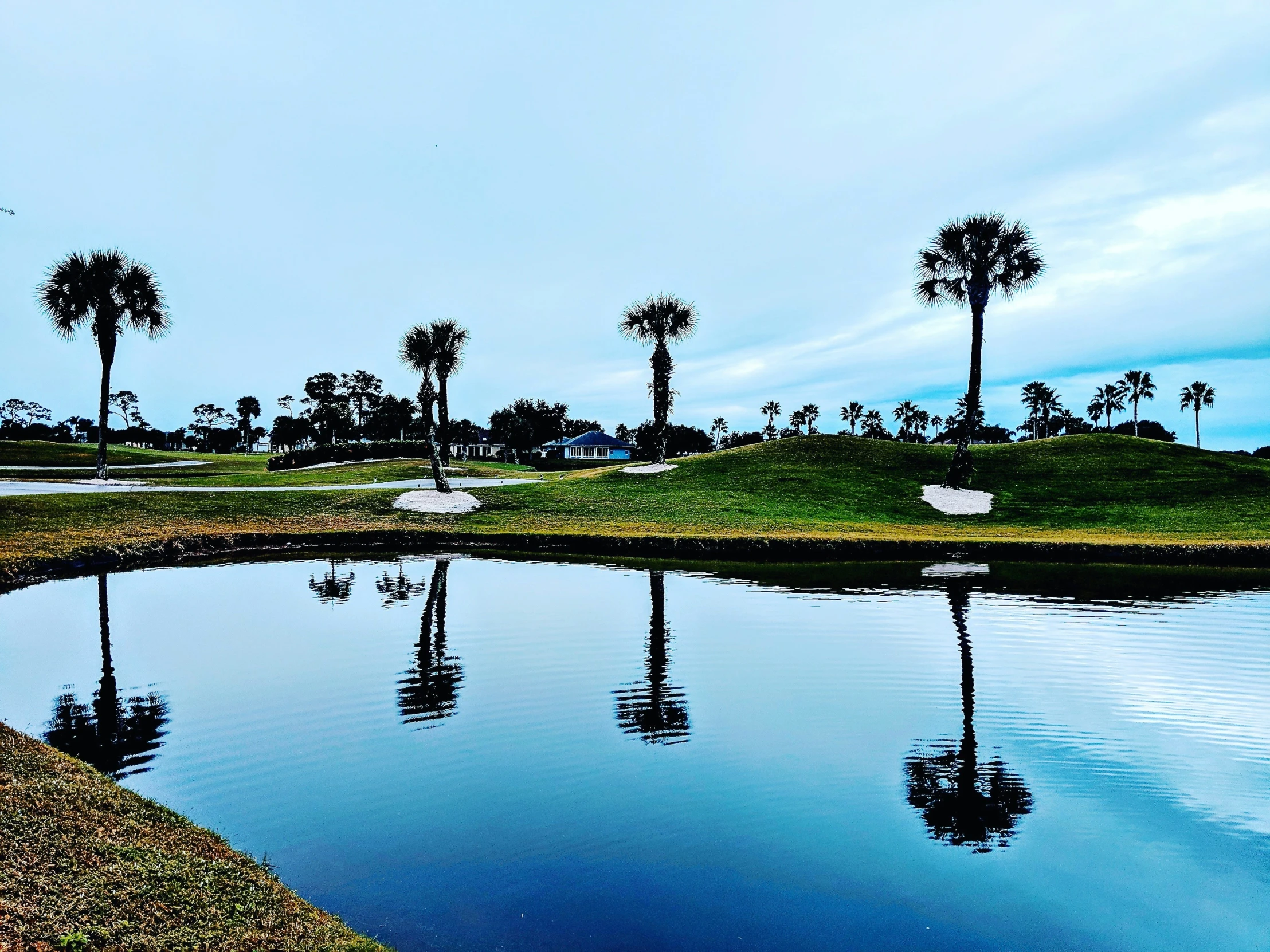 a lake and palm trees in front of a grassy area