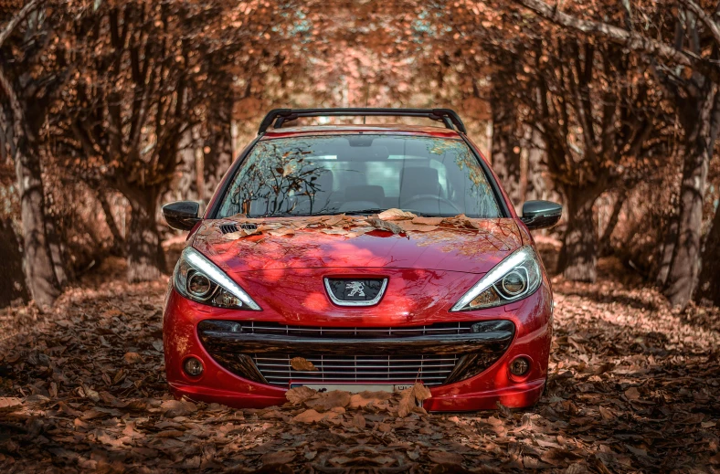 a red car driving down a dirt road surrounded by leaves