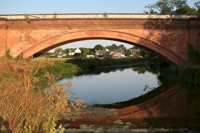 bridge with brick arches over water and reeds