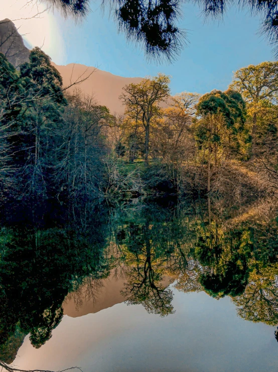 a clear river with green trees and the sky