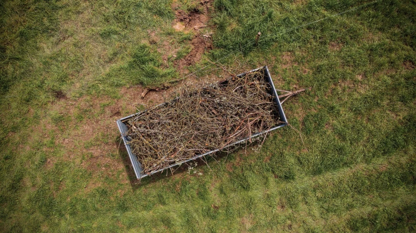 a small tray sits on the ground in the grass