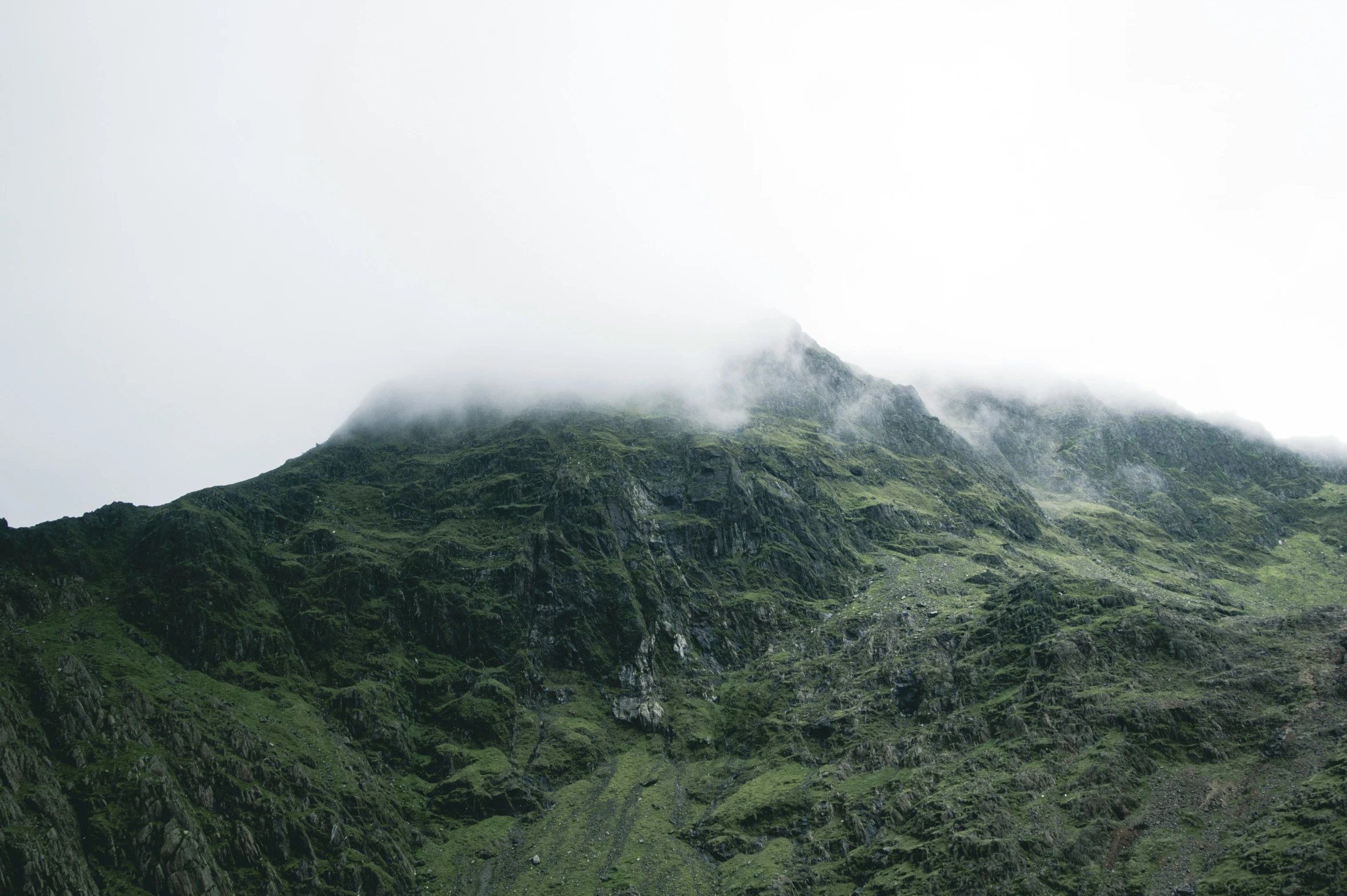 a mountain on a cloudy day with many trees