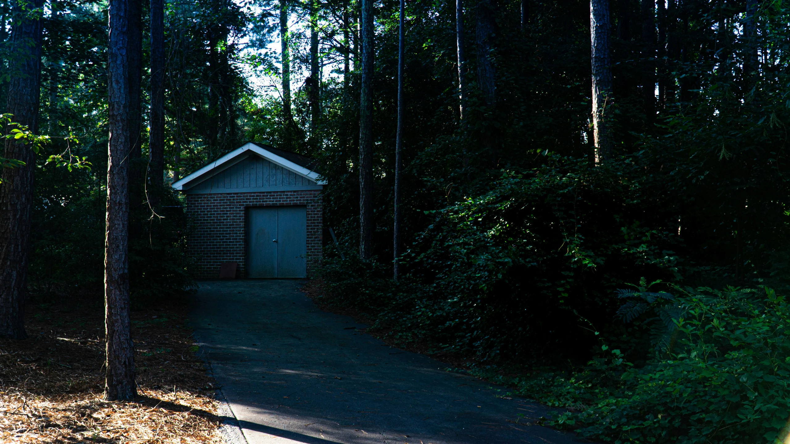 the trail in front of the house leads into a small entrance