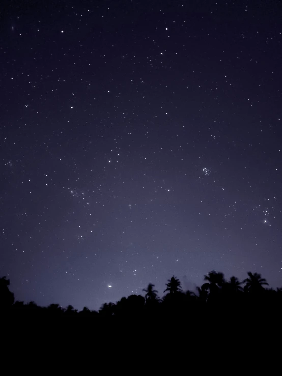 trees against a background with stars in the sky