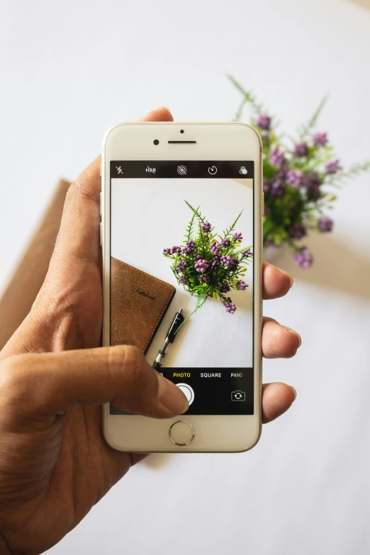 someone taking a picture of flowers with their phone