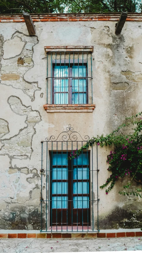 an old building has a window that is covered in vines and flowers