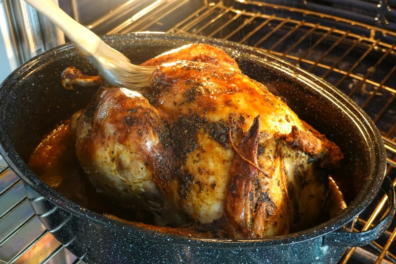 a roasting chicken in a pan on an open oven rack