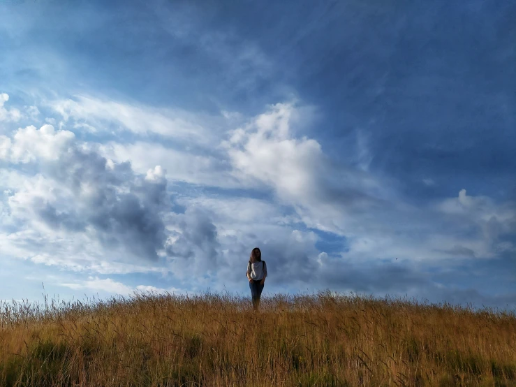 a woman in a field flying a kite