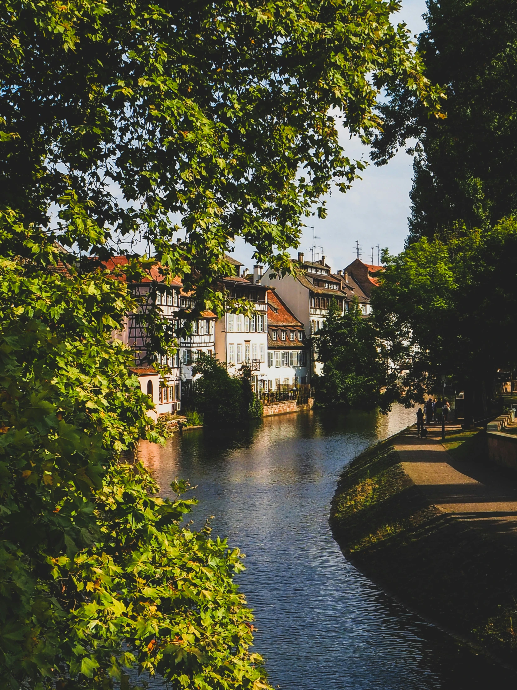 a river running through the middle of a lush green hillside