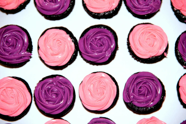 cupcakes with pink frosting, purple frosting and icing roses