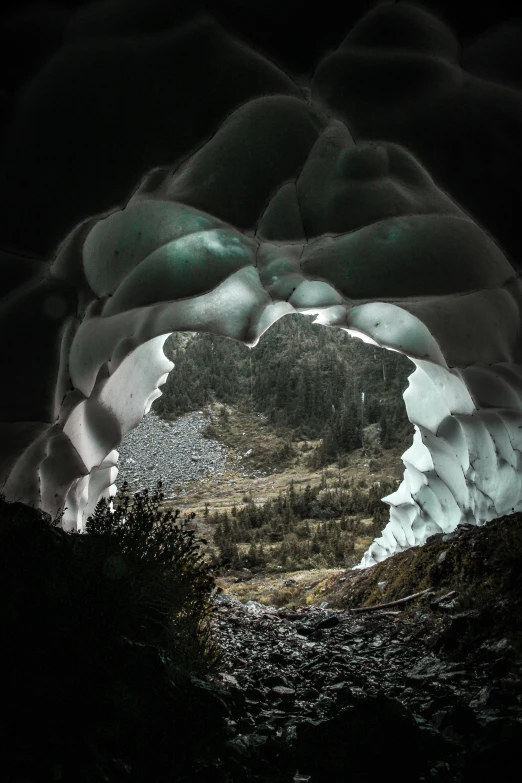 the view from the ground of a rocky and grassy area