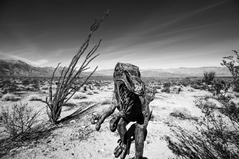 a man with a guitar standing in the desert