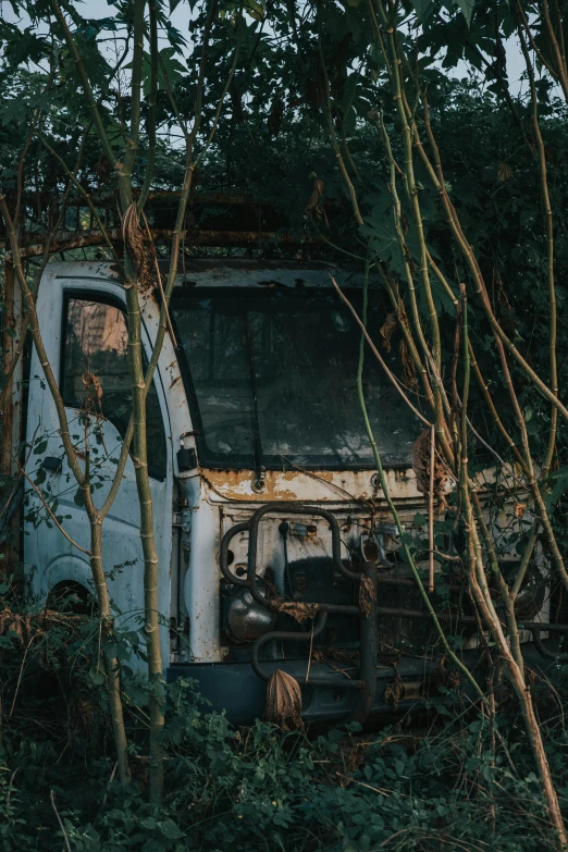 a broken out van parked among some trees