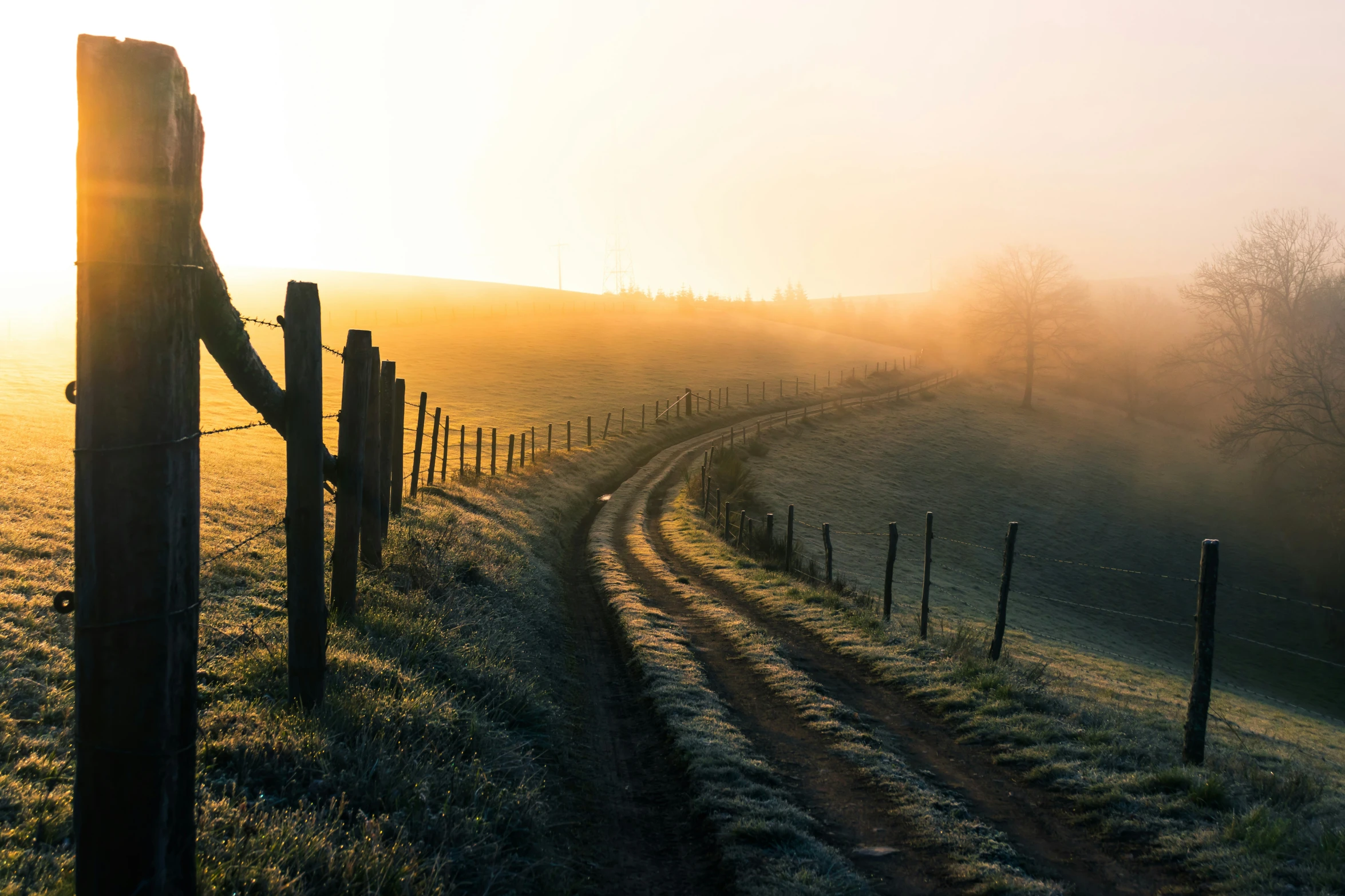 an image of a trail that has been taken off